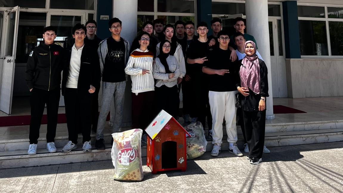 Patili Dostlarımıza Uzanan Sevgi Eli